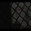 Images from  game footage of live play or introductions