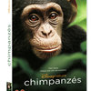 DVD Cover