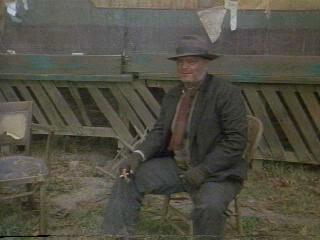 Ironweed