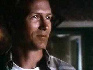 The Accidental Tourist