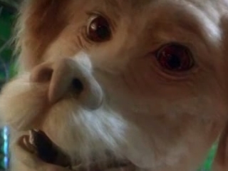 NEVERENDING STORY 2
