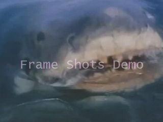 play video on Video Detective