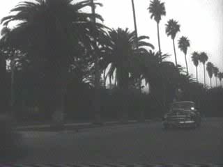 Sunset Boulevard