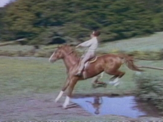National Velvet Trailer 1