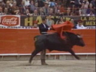 Arruza