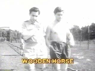 The Wooden Horse