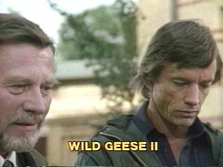 Wild Geese 2
