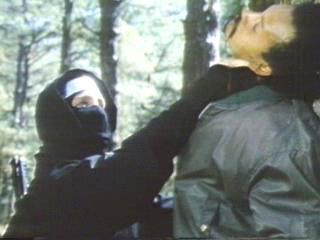 Ninja Warriors