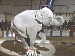 Jumbo