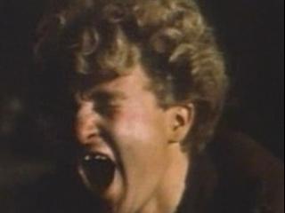 The Company Of Wolves