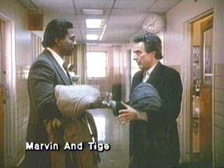 Marvin And Tige