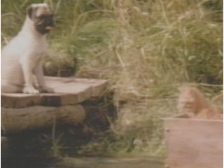 THE ADVENTURES OF MILO AND OTIS