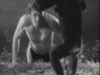 Tarzan The Ape Man