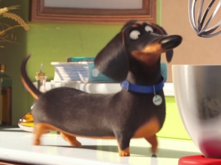 First The Secret Life Of Pets 2 Trailer Replaces Louis C.Ok. With Patton Oswalt