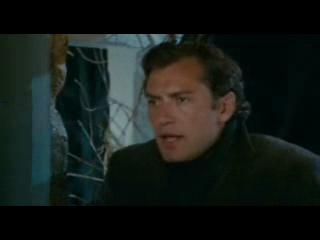 The Holiday Scene Oh Brother