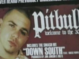 Mr 305 The Pitbull Story