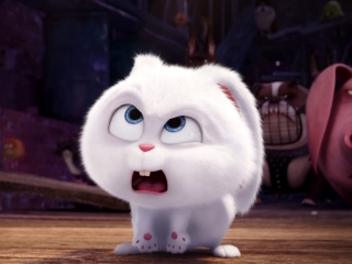 secret life of pets tumblr ile ilgili görsel sonucu