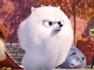 the secret life of pets movie gidget