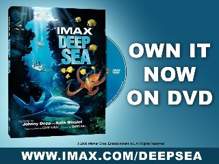 Deep Sea 3D Scene The Crab