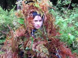 Snowbird Brown Trailers, Photos, Videos