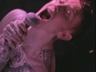 Gallows - IN THE BELLY OF A SHARK