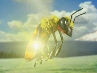 Menomena - EVIL BEE