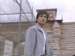 The Fence