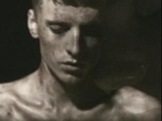 These New Puritans - ELVIS