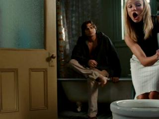 What Happens In Vegas The Toilet Seat