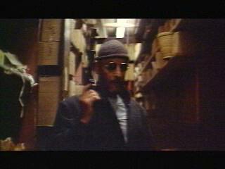 THE PROFESSIONAL