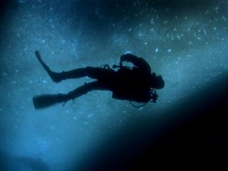 Encounters At The End Of The World Clip 2