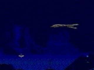 play video on Video Detective