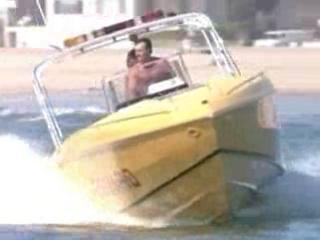 Baywatch White Thunder At Glacier Bay