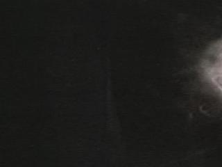 THE BLAIR WITCH PROJECT