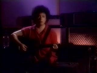 Janis Ian - SEARCHING FOR AMERICA