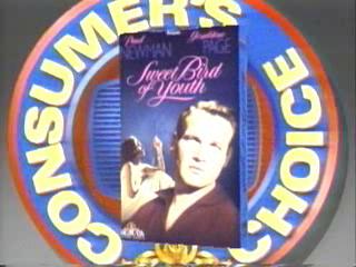 Sweet Bird Of Youth
