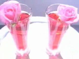 Animal Logic - ROSE COLORED GLASSES