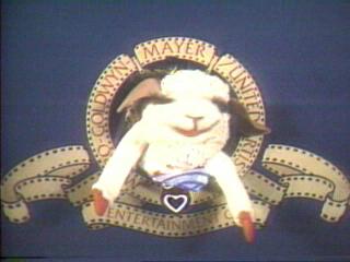 Shari Lewis You Can Do It