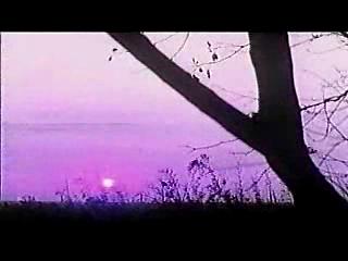 play video on Singing Fool