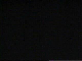 Last Summer In The Hamptons