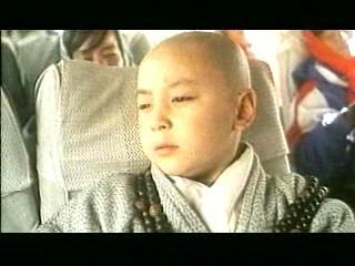 Dragon From Shaolin