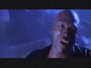 Seal - Kiss From A Rose