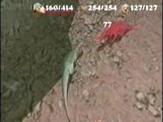 play video on Video Detective