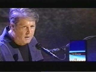 Brian Wilson Imagination