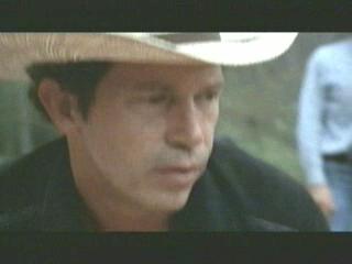 Warren Finnerty Rotten Tomatoes