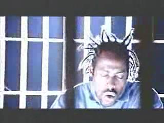 play video on Video Detective