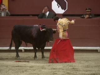 The Matador Hero