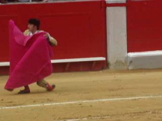 The Matador Performance
