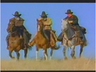 Sawyer Brown - ONE LESS PONY