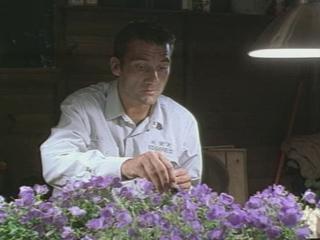 Greenfingers Scene Colin Gives Pep Talk